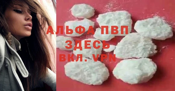 тгк Ростов