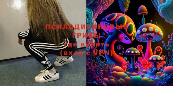 винт Алзамай