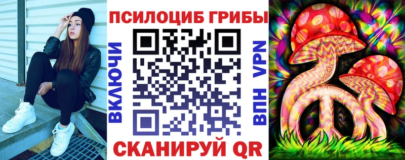 Псилоцибиновые грибы Psilocybine cubensis  Николаевск 